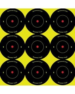 Birchwood Casey Shoot-N-C Bullseye 2" Target