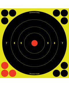 Birchwood Casey Shoot N-C Bullseye 8" Target